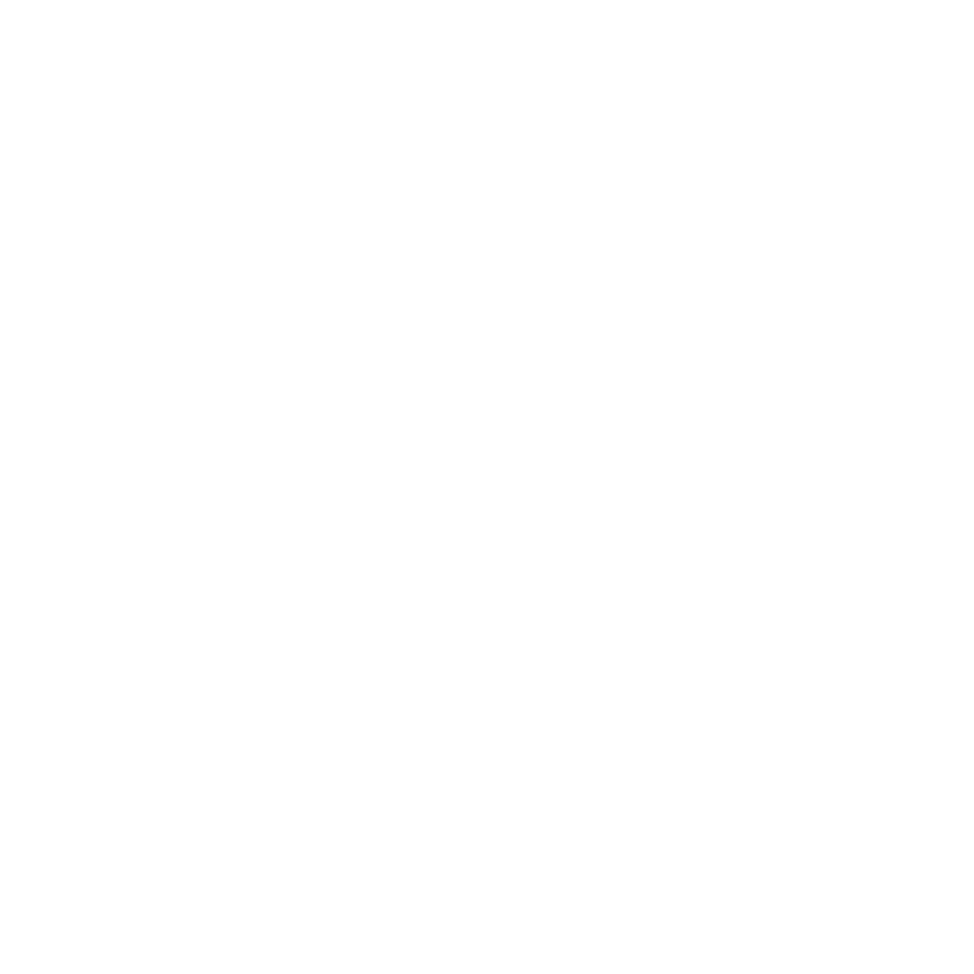 MS Lab AI logo white